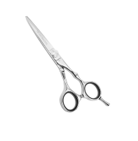 Ножницы парикмахерские Kapous Te - scissors прямые 5,5